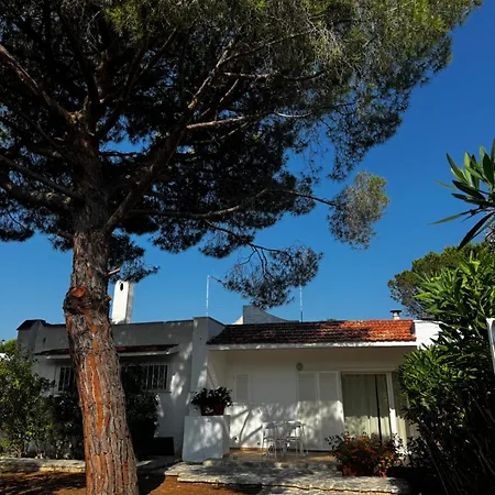 Villa Wally A Mare Rosa Marina